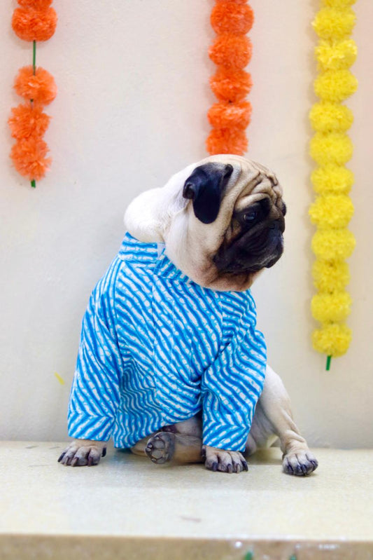 Festive Pet Kurta for Rakhi - Traditional Indian Attire for Dogs