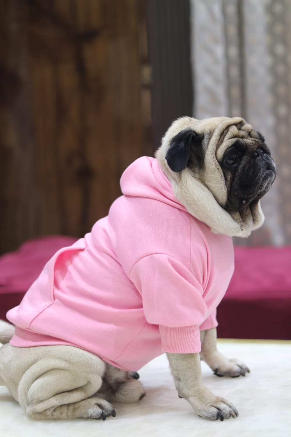 Cozy Comfort Dog Hoodie – Soft, Warm & Stylish Hoodie for Dogs