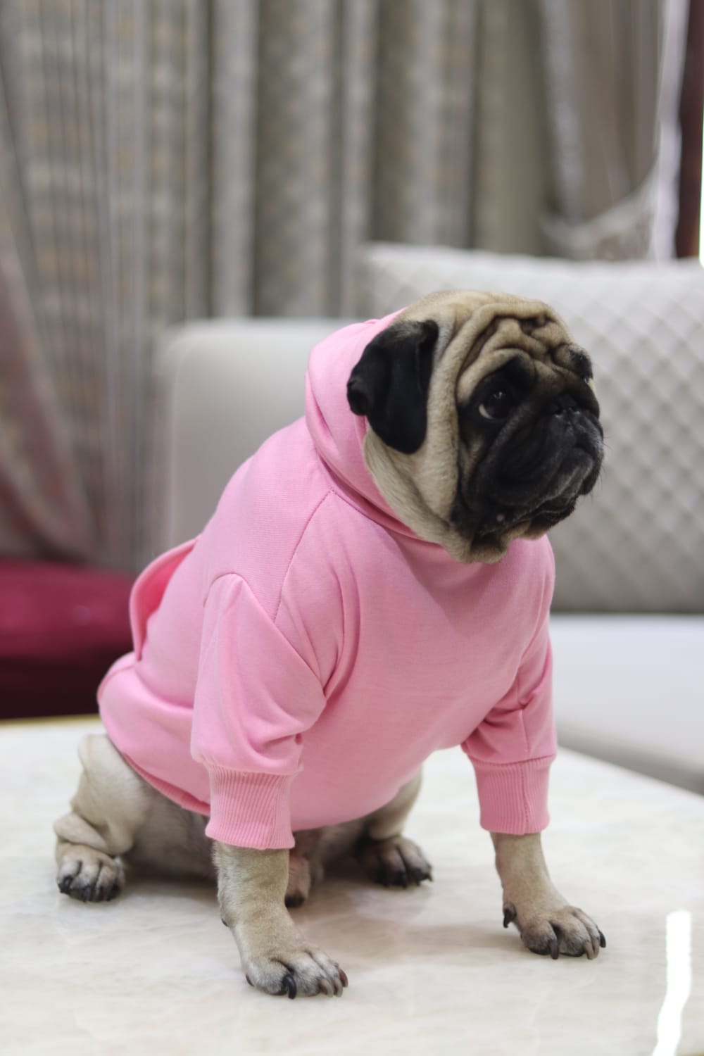 Cozy Comfort Dog Hoodie – Soft, Warm & Stylish Hoodie for Dogs