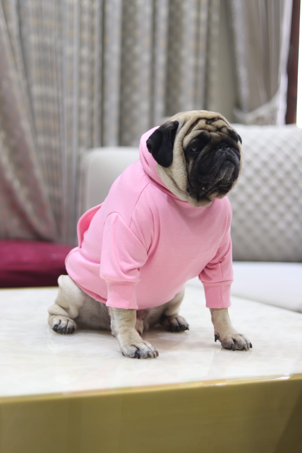 Cozy Comfort Dog Hoodie – Soft, Warm & Stylish Hoodie for Dogs