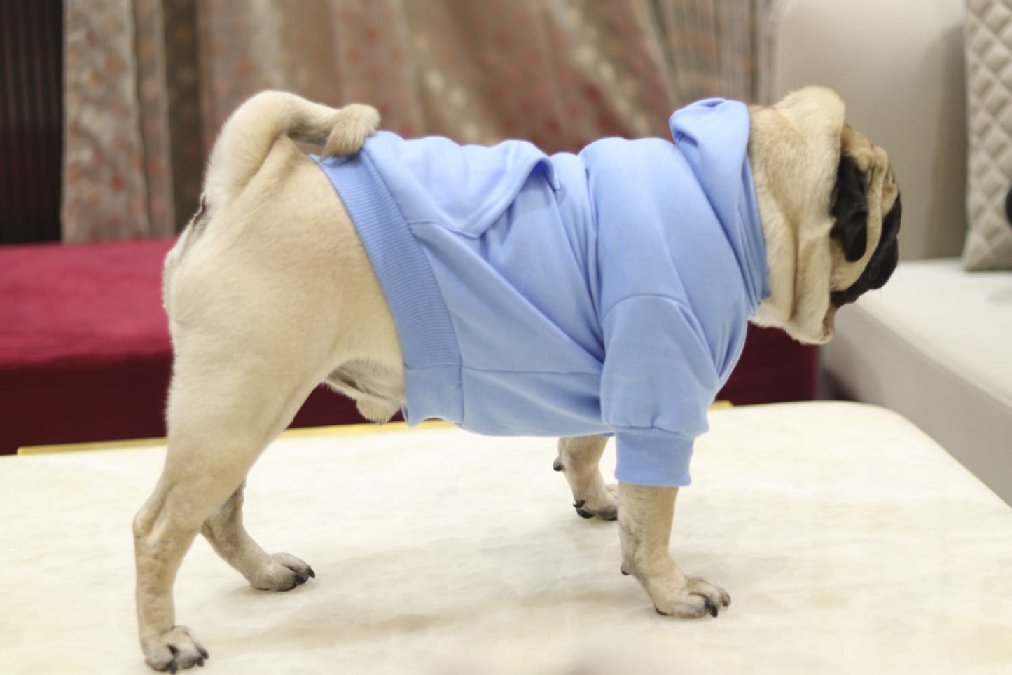 Cozy Comfort Dog Hoodie – Soft, Warm & Stylish Hoodie for Dogs