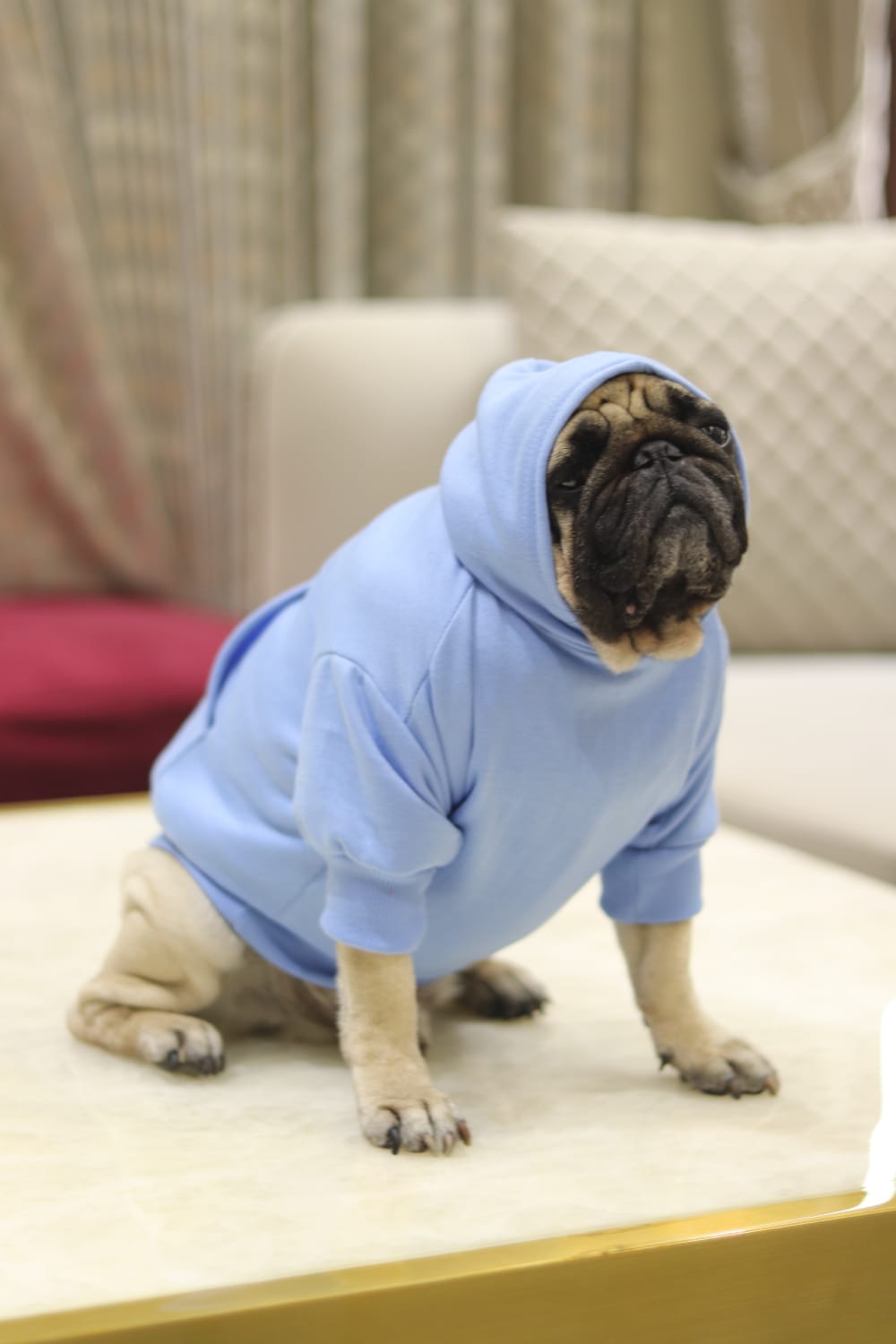 Cozy Comfort Dog Hoodie – Soft, Warm & Stylish Hoodie for Dogs
