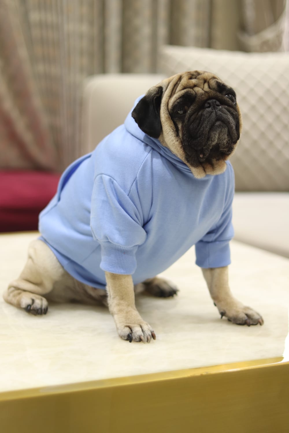 Cozy Comfort Dog Hoodie – Soft, Warm & Stylish Hoodie for Dogs