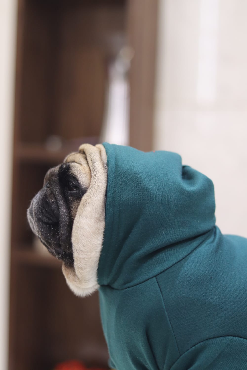 Cozy Comfort Dog Hoodie – Soft, Warm & Stylish Hoodie for Dogs