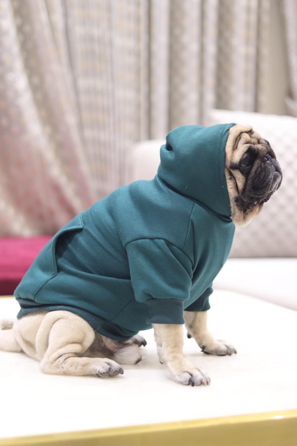 Cozy Comfort Dog Hoodie – Soft, Warm & Stylish Hoodie for Dogs
