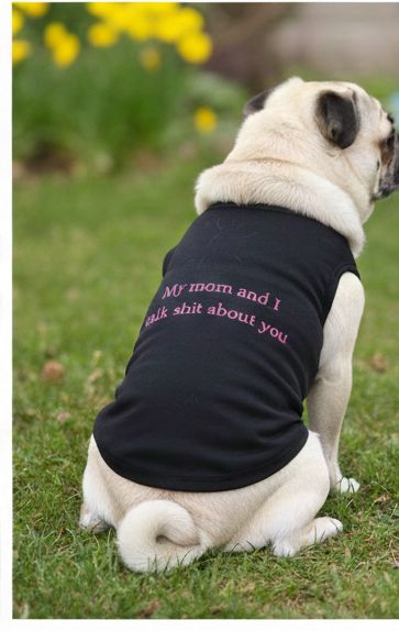 The "Honest Duo" Matching T-Shirt Set – Women & Dog | Beaship Studio