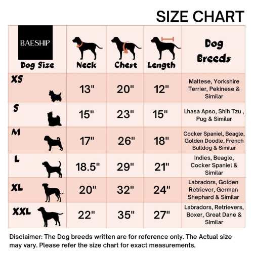 The "Honest Duo" Matching T-Shirt Set – Women & Dog | Beaship Studio